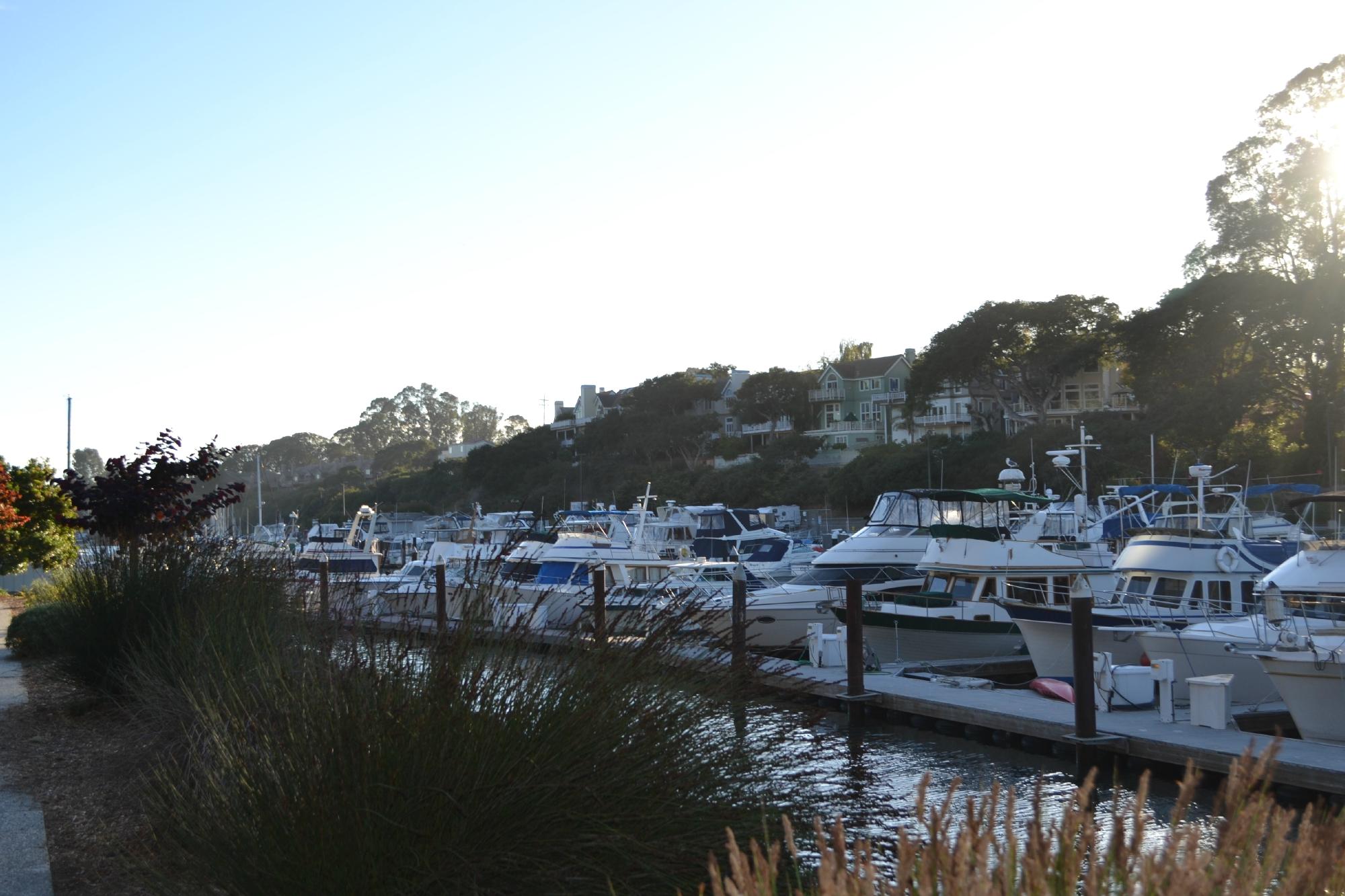 SANTA CRUZ HARBOR RV PARK Campground Reviews CA