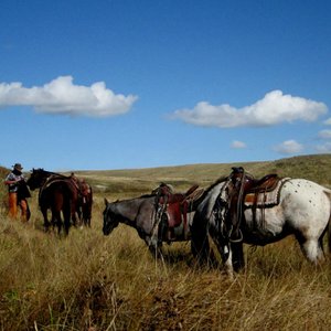 Trail Ride Lunch