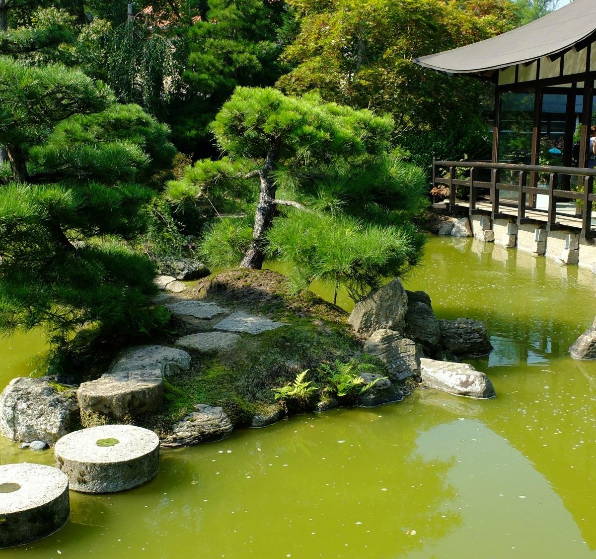 JAPANESE BONSAI GARDEN (JAPANISCHER BONSAIGARTEN) (Ferch) All You