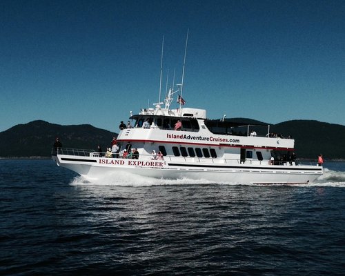 Whale Watching Tour Menu on the Island Explorer 5