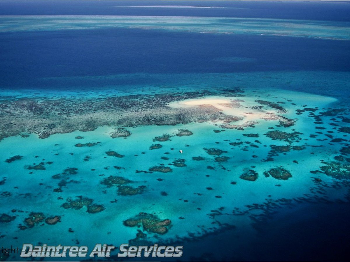 Daintree Air Services (Cairns) - All You Need to Know BEFORE You Go