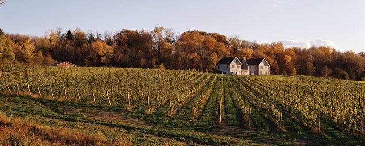 Fall