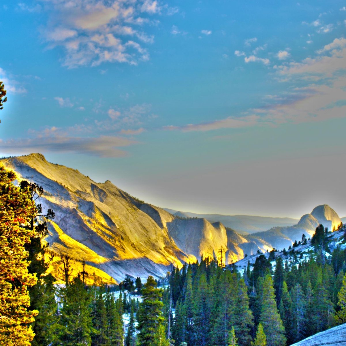 Tioga Pass (Yosemite National Park) All You Need to Know BEFORE You Go