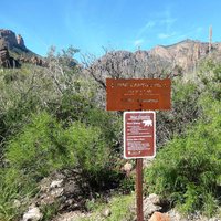 Pine Canyon Trail - All You Need to Know BEFORE You Go (2024)