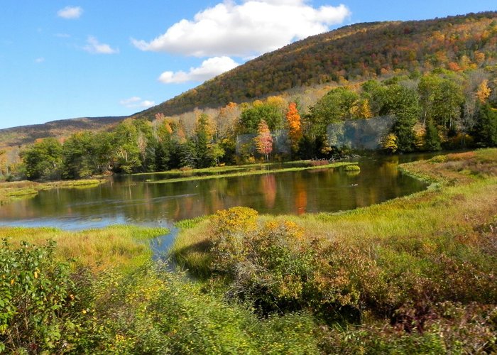 Catskill, NY 2023: Best Places to Visit - Tripadvisor