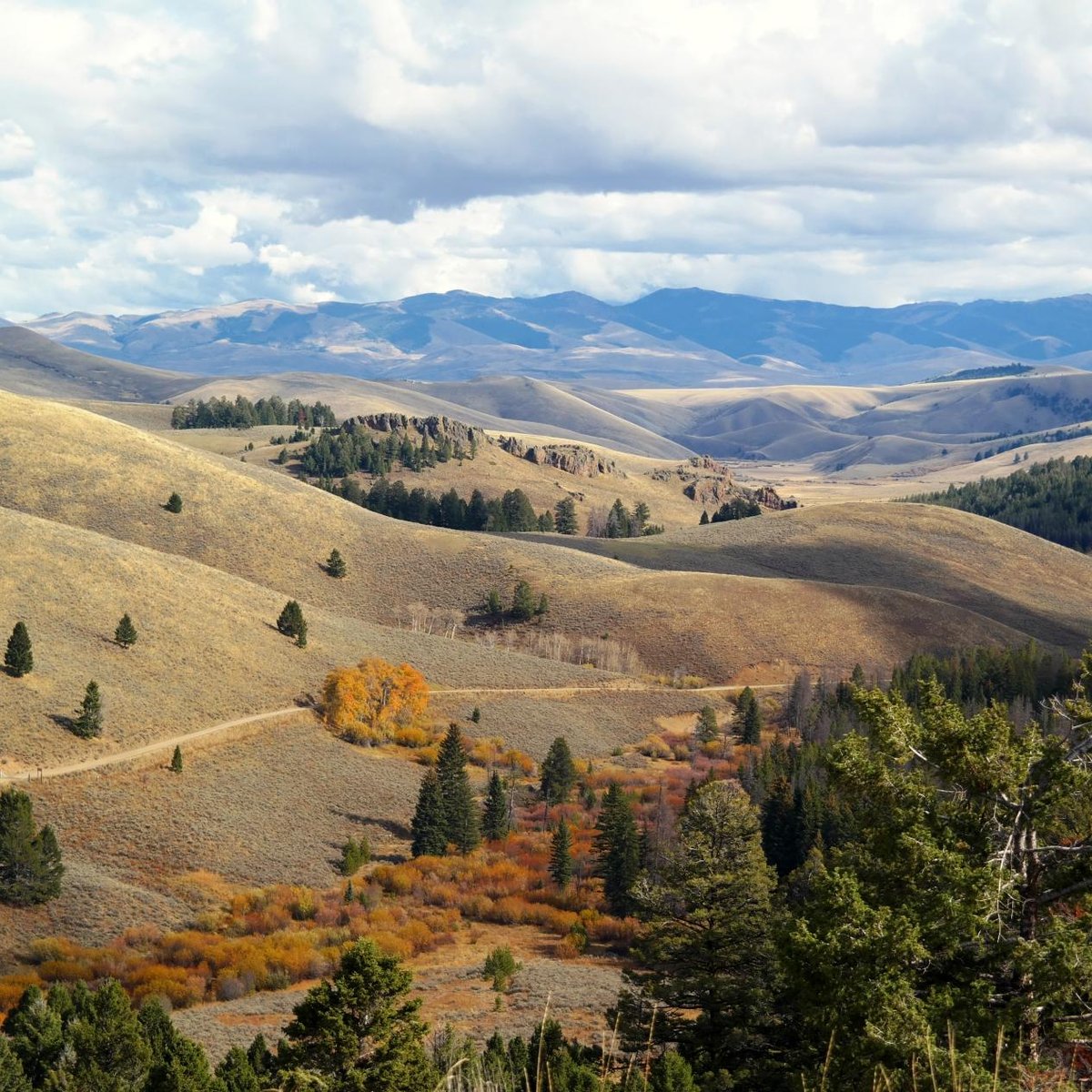 Meriwether Lewis' August 12, 1805 Campsite (salmon) - All You Need To 