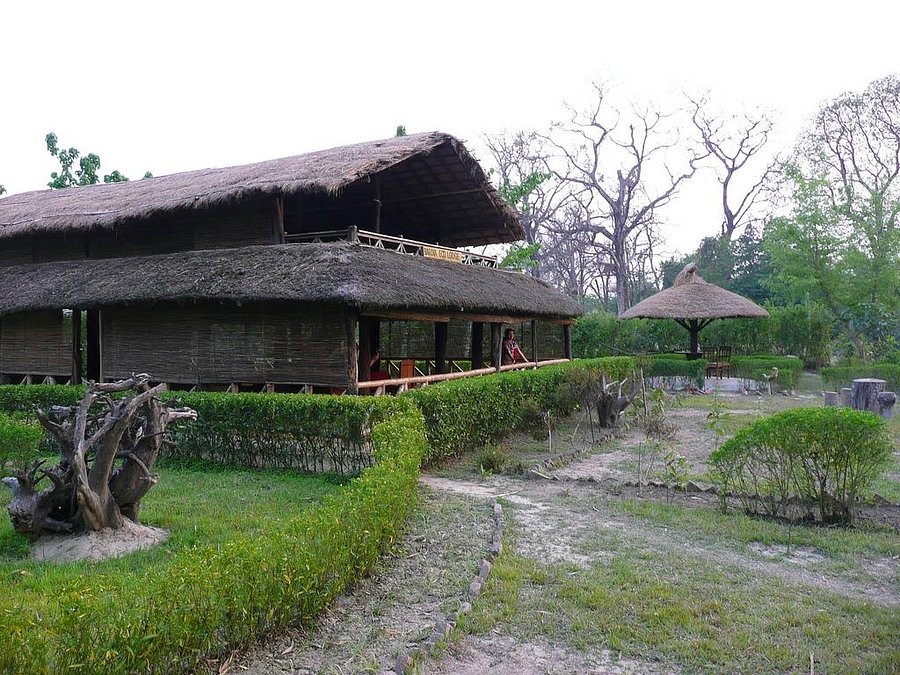 Bardia Eco Lodge Bardia National Park Lodge Reviews Photos Rate Comparison Tripadvisor