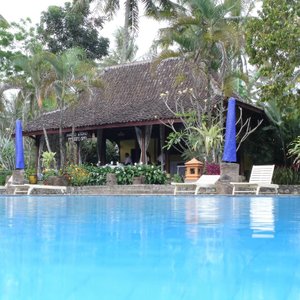 The pool
