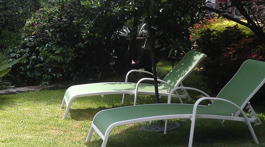 Jardín