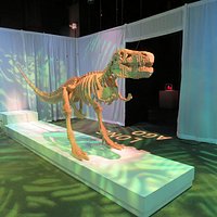 T-rex