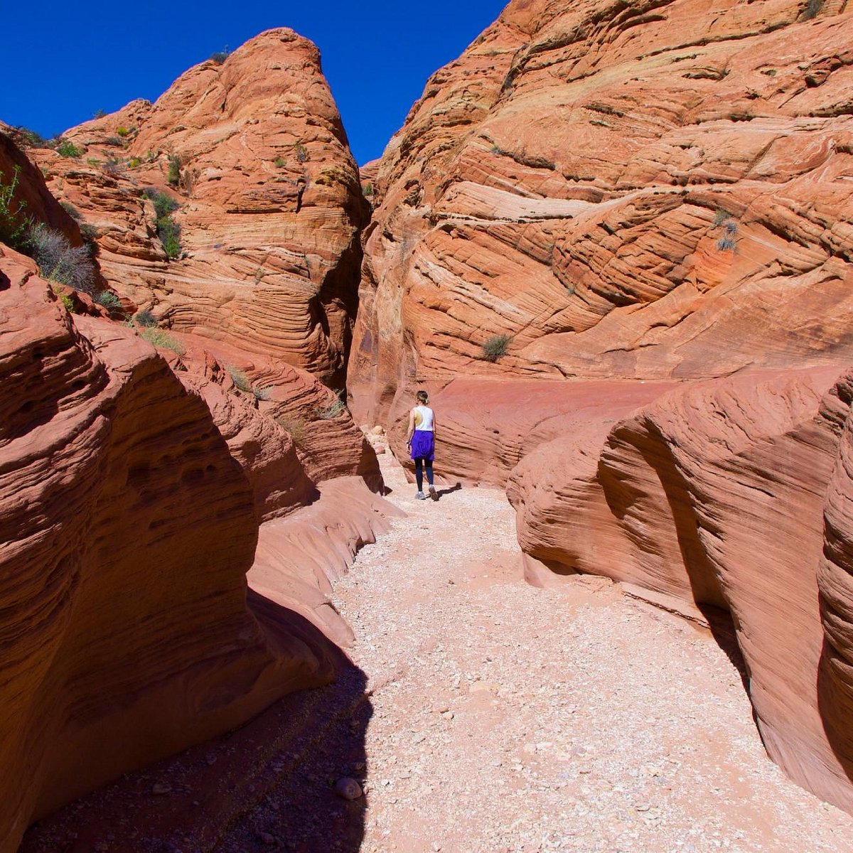 Buckskin Gulch (Kanab) All You Need to Know BEFORE You Go