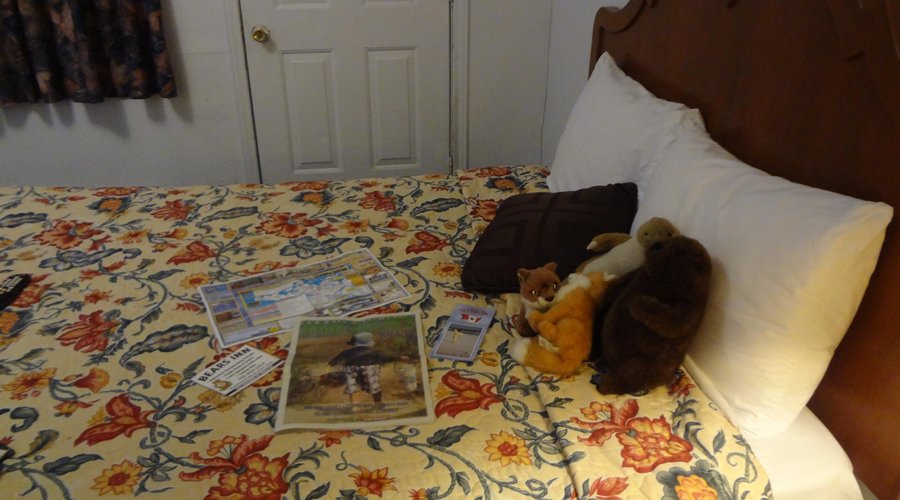 photo of bed
