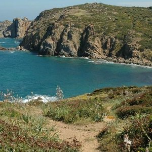 Costa verde