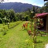 Things To Do in Jhony Jungle Trekking, Restaurants in Jhony Jungle Trekking