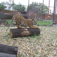 getlstd_property_photo