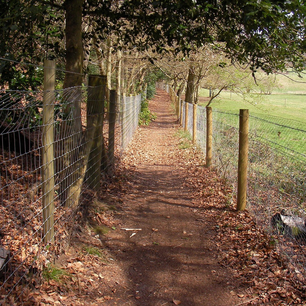 Walking town. Фарнхэм. Френшем графство Суррей. Farnham Surrey.