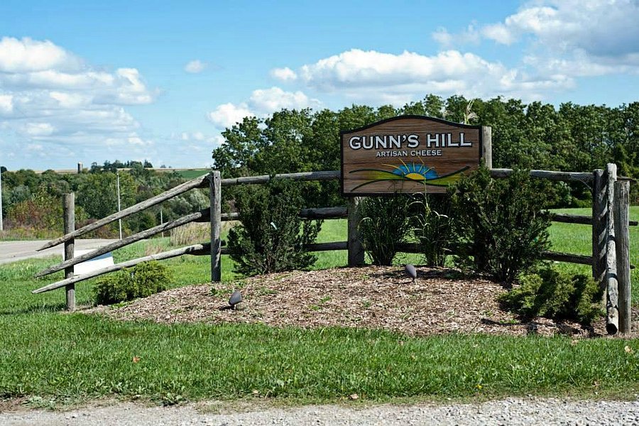 Gunn's Hill Artisan Cheese image