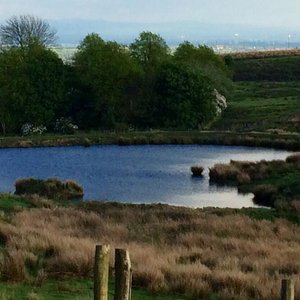 Hollingworth Lake (Rochdale) - All You Need to Know BEFORE You Go