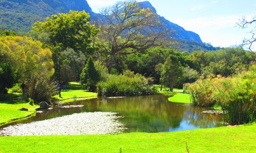 Kirstenbosch Gardens