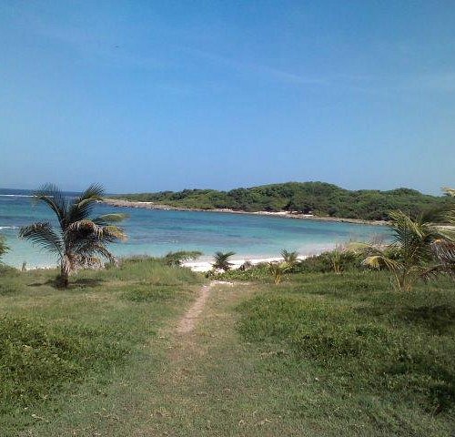 3 Best beaches in La Desirade island, Guadeloupe - Ultimate guide (February  2024)