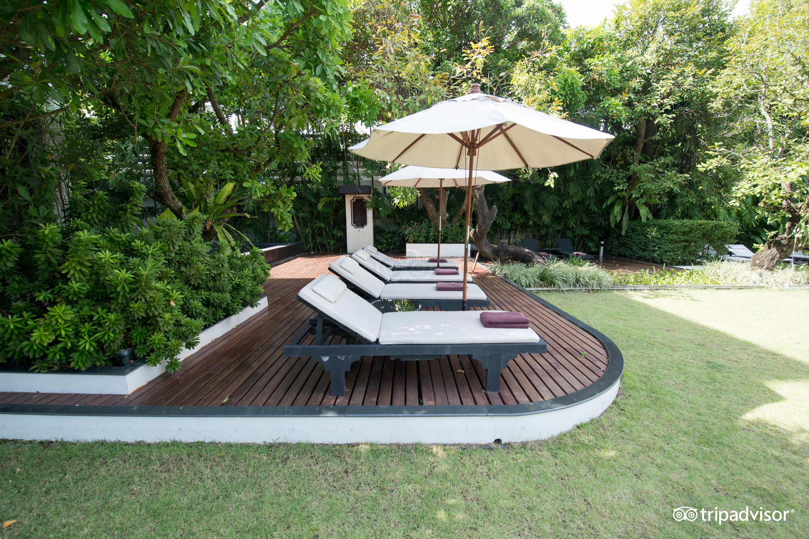 Aruntara Riverside Boutique Hotel Chiang Mai Pool Pictures