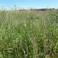 The prairie stretching on and on...