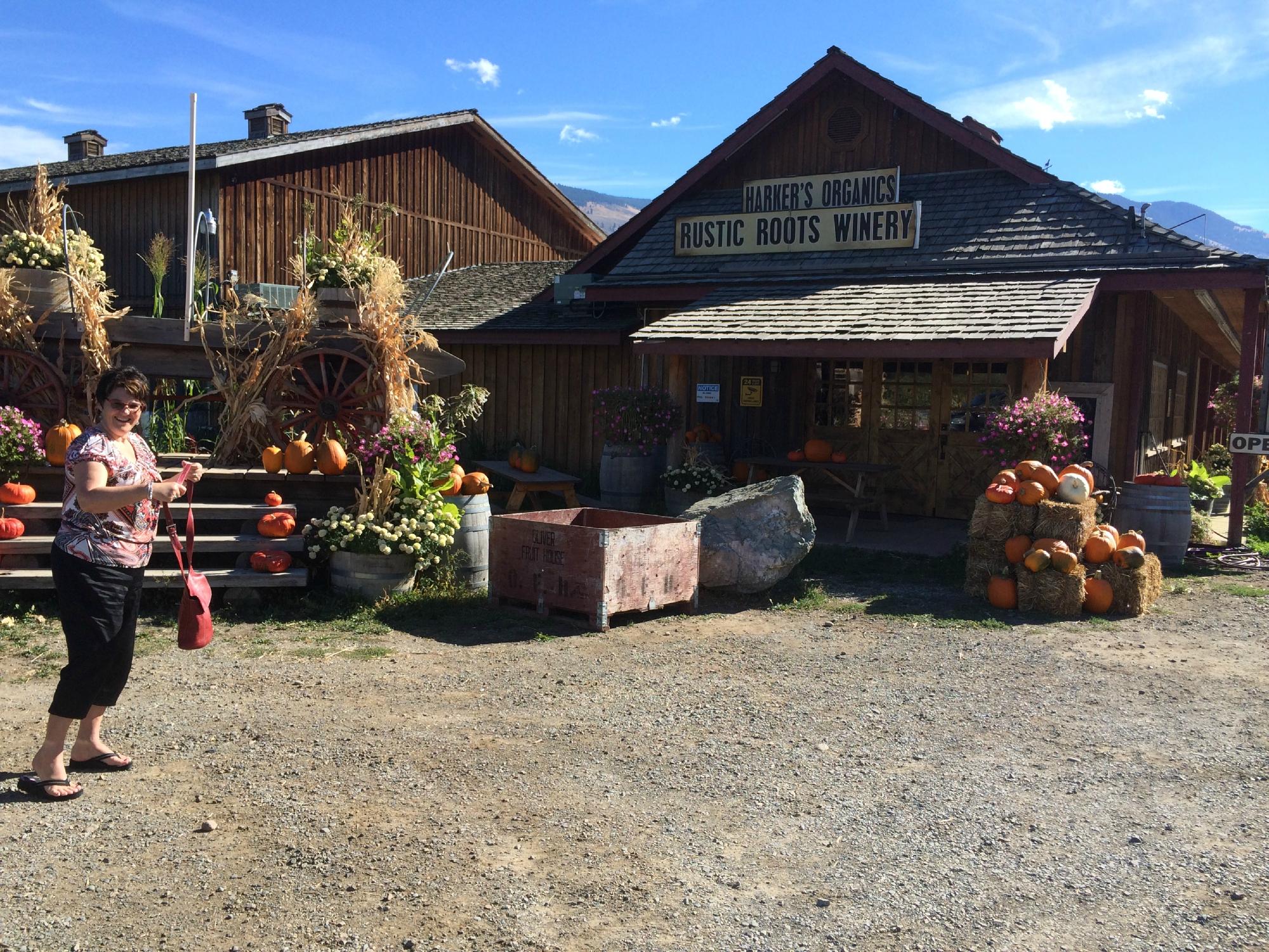 Rustic Roots Winery All You Need to Know BEFORE You Go 2024