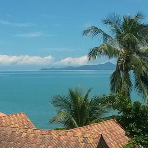 Blick vom Balkon