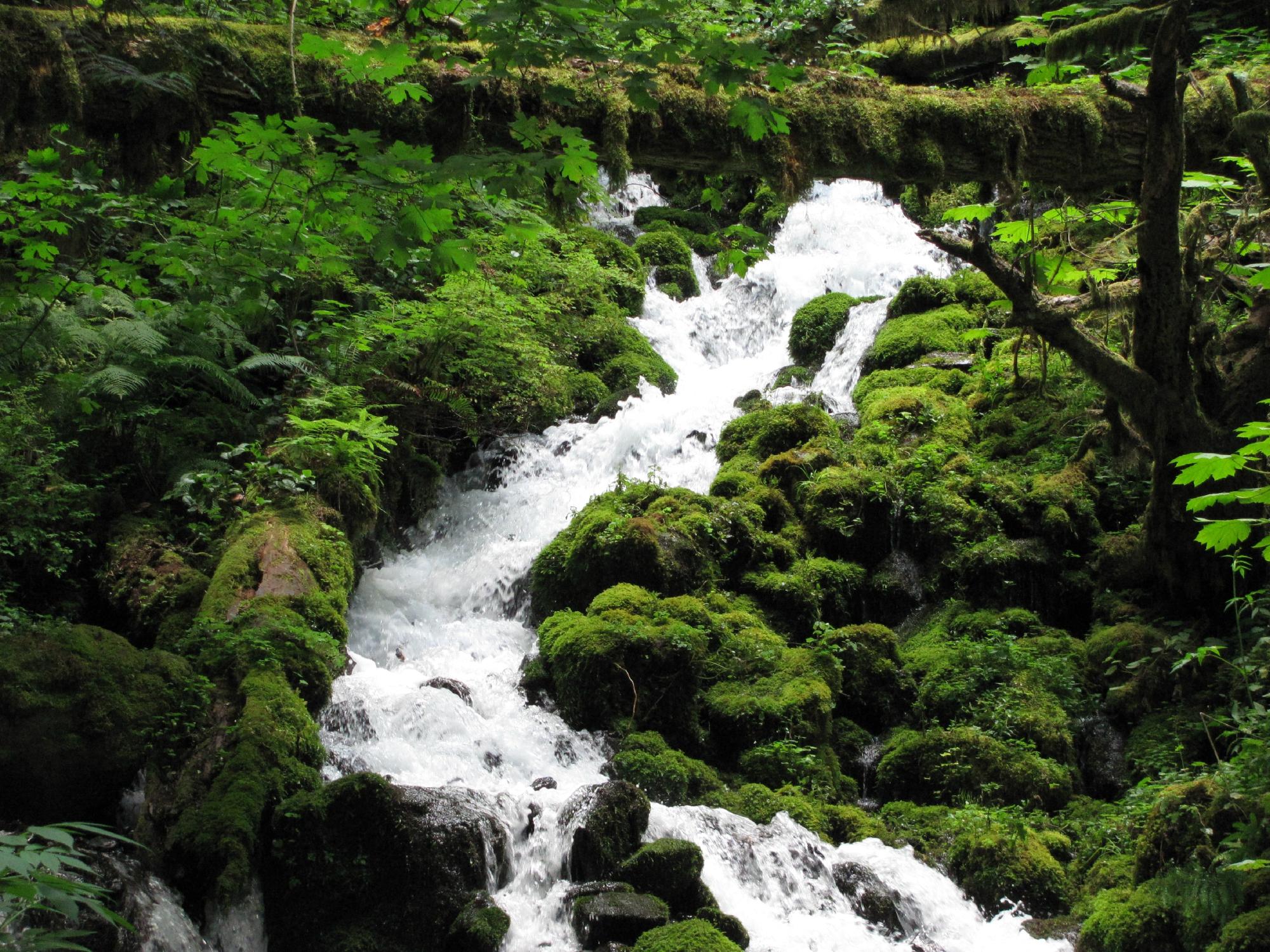 Columbia River Gorge National Scenic Area All You Need to Know BEFORE You Go 2024