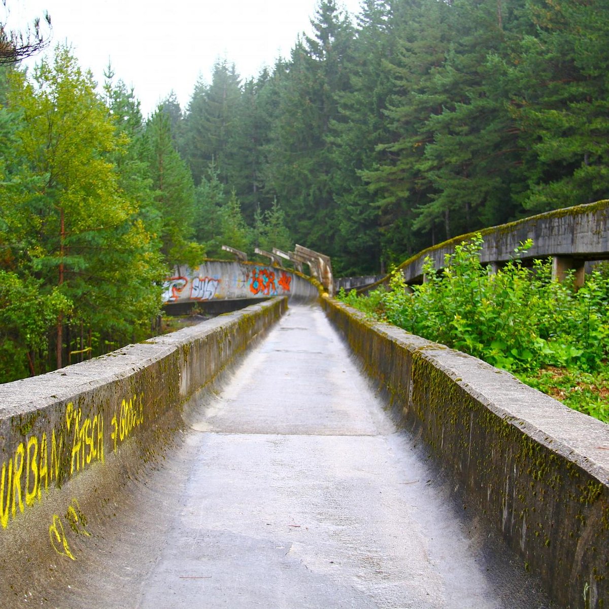 Sarajevo Olympic Bobsleigh and Luge Track, Сараево: лучшие советы перед  посещением - Tripadvisor