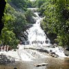 Things To Do in Vaidehi Waterfall, Restaurants in Vaidehi Waterfall