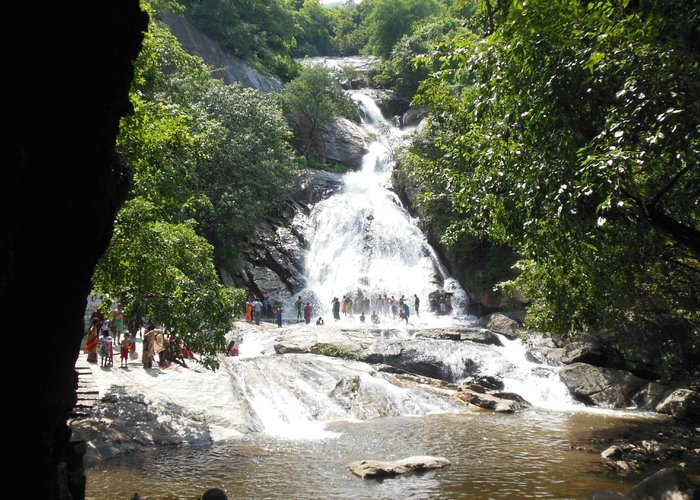 Monkey falls