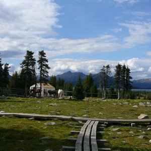 view of the horse corral