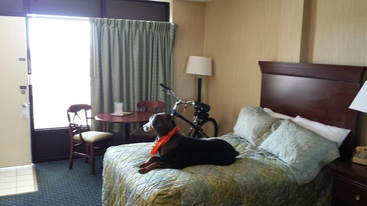 BAREFOOT MAILMAN Motel (Ocean City, MD) Prezzi 2022 e recensioni