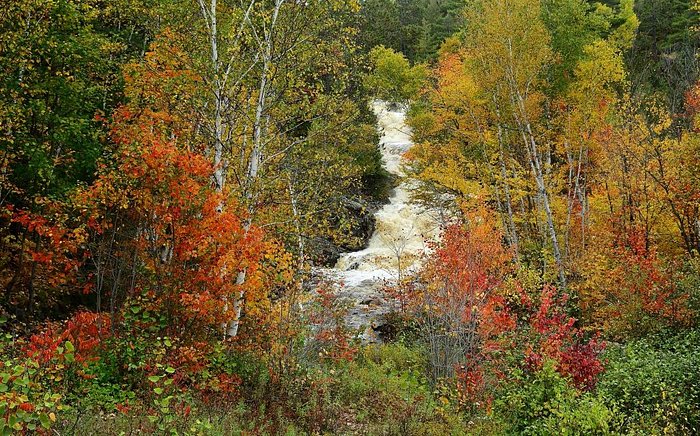 Overview of falls from the road