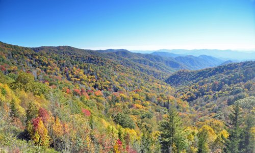 Fall Colors in the Great Smoky Mountains NC