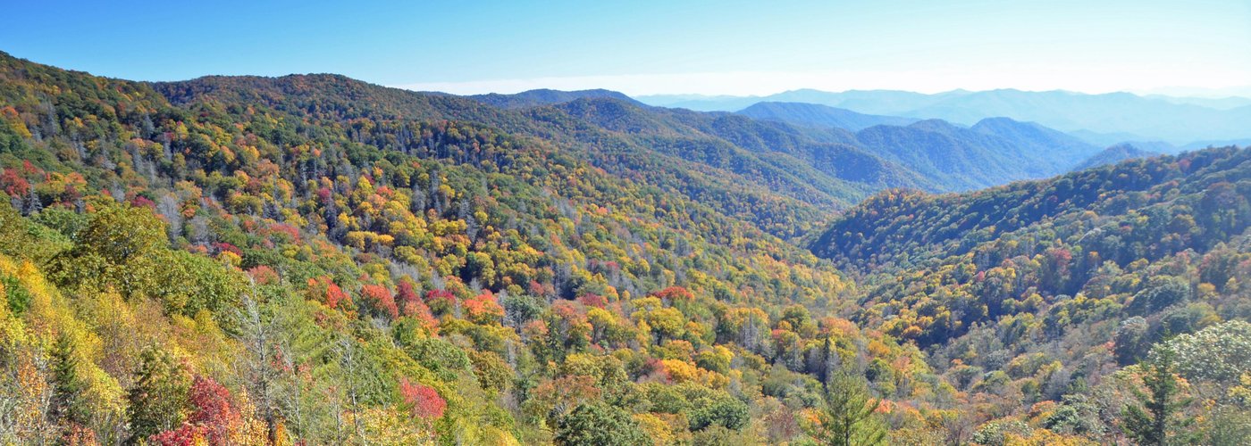 Fall Colors in the Great Smoky Mountains NC