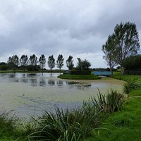 Zicht op het meertje in de tuin.