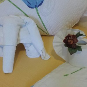 Handtuch Elefant und Klopapier