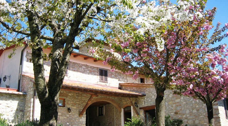 Podere Vignola
