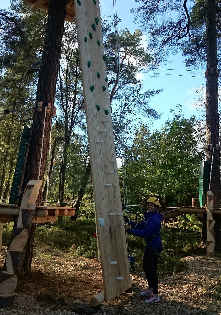 Adventure Park Korkee, Хельсинки: лучшие советы перед посещением -  Tripadvisor