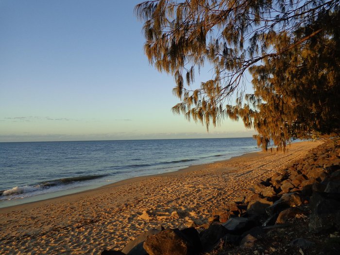 Shelly Bay Resort Pool: Pictures & Reviews - Tripadvisor