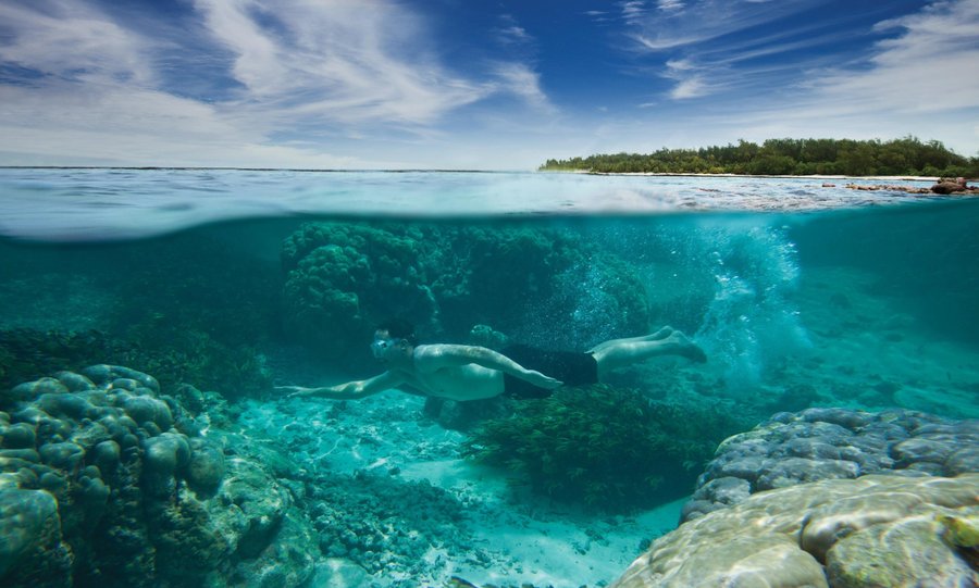 Snorkel