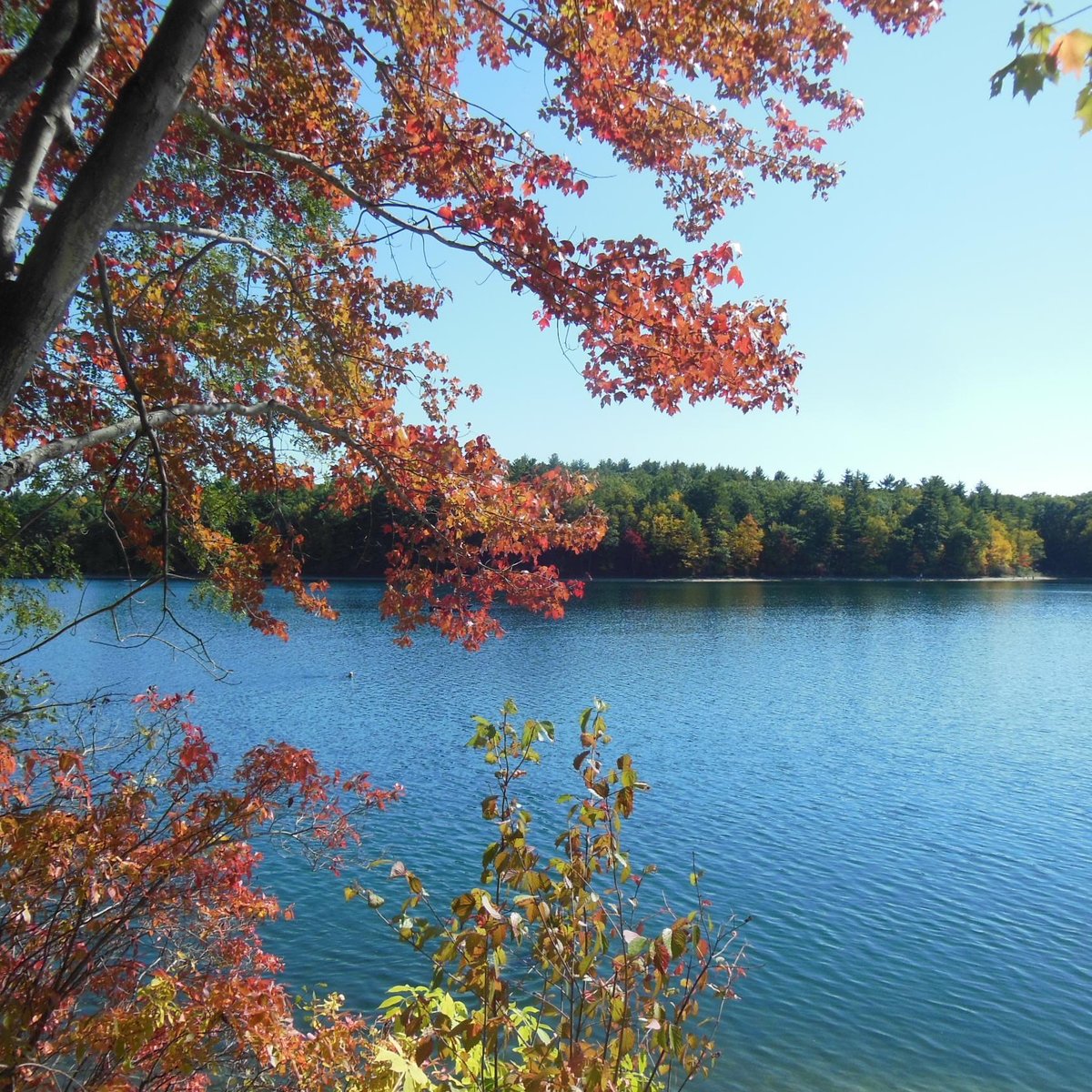 List 104+ Pictures walden pond state reservation photos Excellent