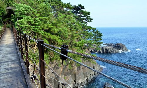 橋立吊橋から