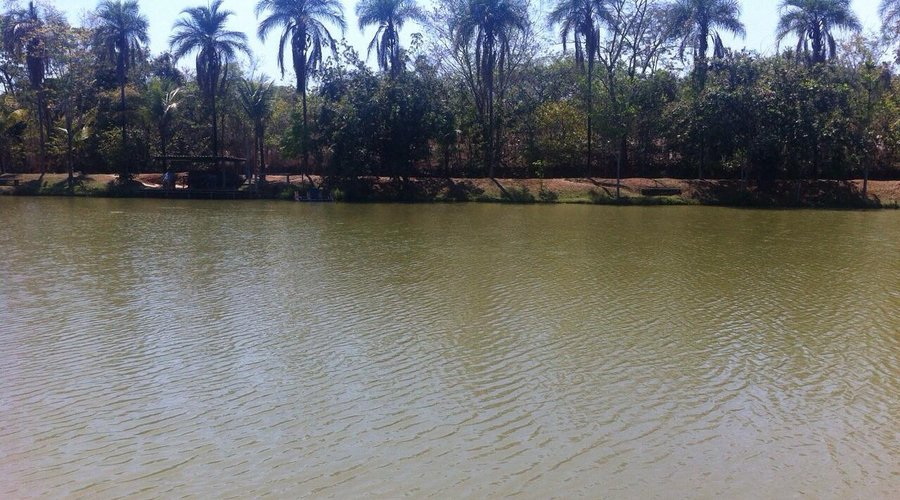 A vista