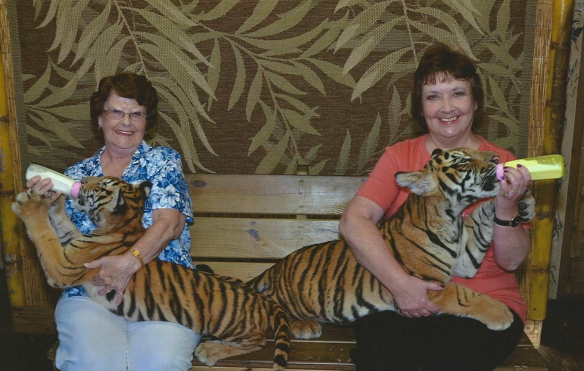 Safari In Myrtle Beach South Carolina Myrtle Beach Safari - Lohnt es sich? Aktuell für 2024 (Mit fotos)