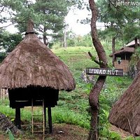 Huts and shacks and cabins
