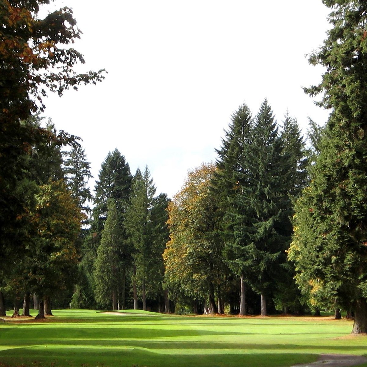 TOKATEE GOLF COURSE (McKenzie Bridge) All You Need to Know BEFORE You Go