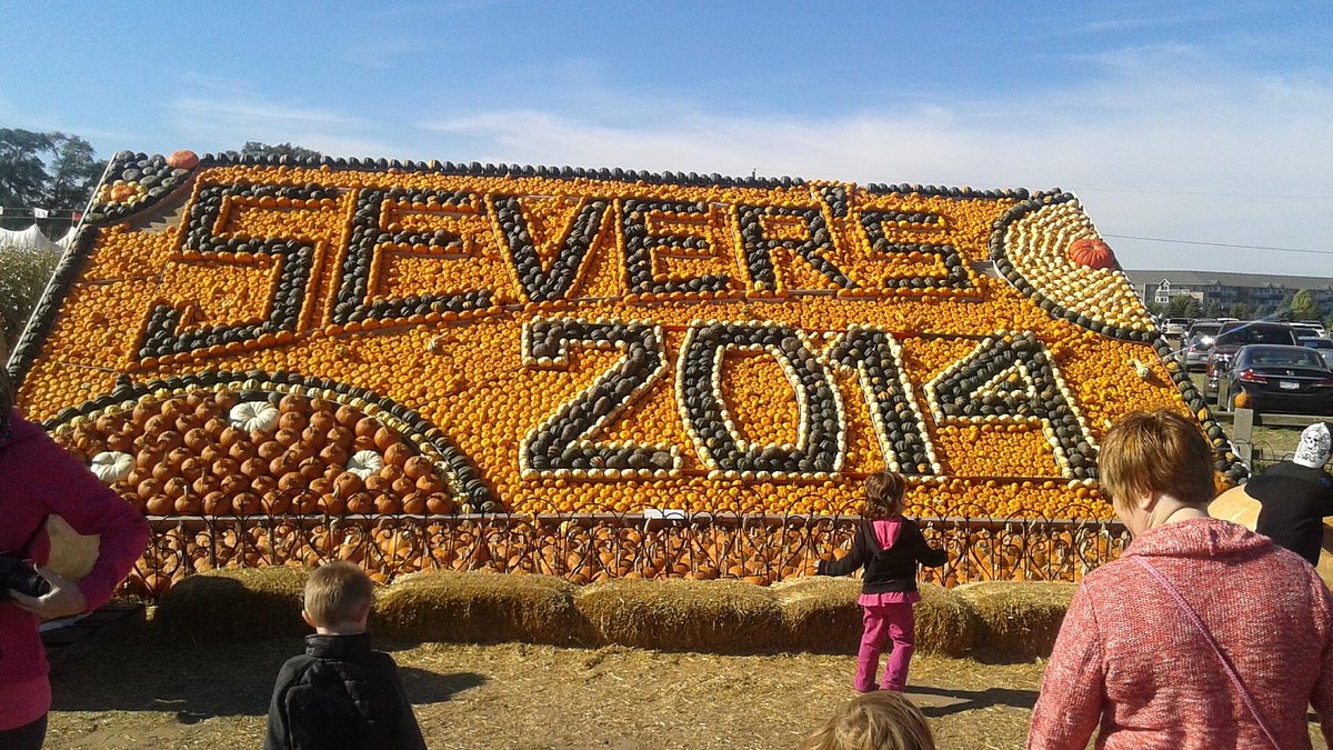 Sever's Corn Maze (Shakopee) All You Need to Know